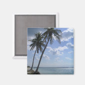 Palmmagneet 2 magneet (Voorkant / Achterkant)