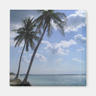 Palmmagneet 2 magneet