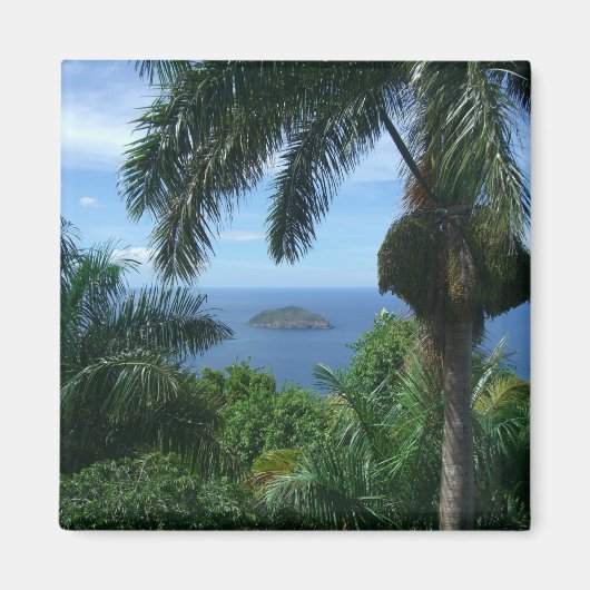 palmmagneet magneet (Voorkant)