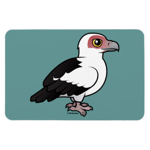 Palmnotenboom Magneet