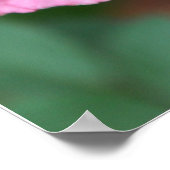 Palms 46:1 Roos Aanmoediging Poster (Hoek)