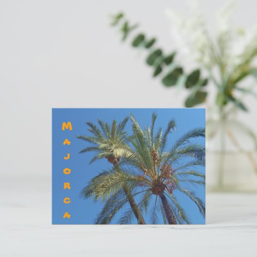 Palms Majorque - Carte postale (Debout devant)