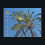 Palms Majorque - Carte postale<br><div class="desc">Une photographie de deux palmiers contre le ciel bleu,  prise à Palma de Majorque,  la capitale de l'île de Majorque dans la mer Méditerranée en Europe.</div>