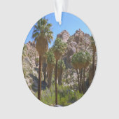 Palms perdus Oasis I au parc national de Joshua Tr (devant)