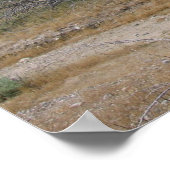 PalmSprings (26) Poster (Hoek)