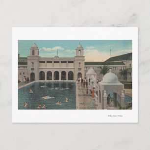 Palmstrand, FL - Uitzicht buitenshuis in de pool e Briefkaart