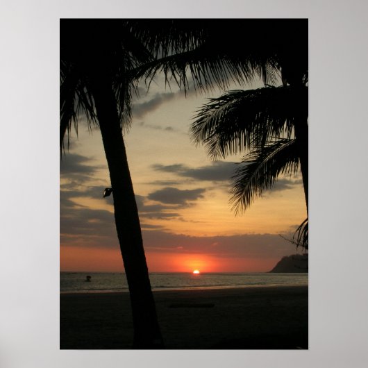 palmstrand poster (Voorkant)