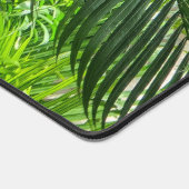 PalmTrees Jungle 🌴 (Coin)