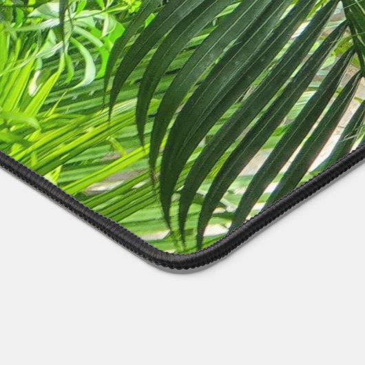 PalmTrees Jungle 🌴 (Coin)