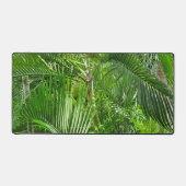 PalmTrees Jungle 🌴 (Recto)