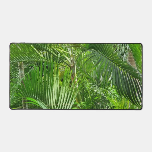 PalmTrees Jungle 🌴 (Recto)