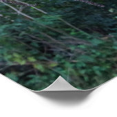 Palmvruchten Poster (Hoek)