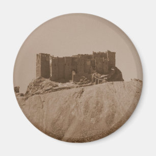 Palmyra Magneet