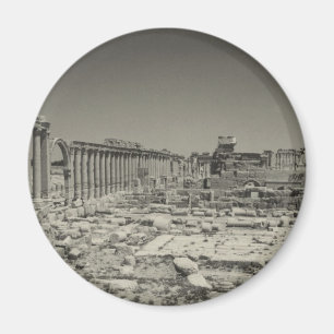 Palmyra Magneet
