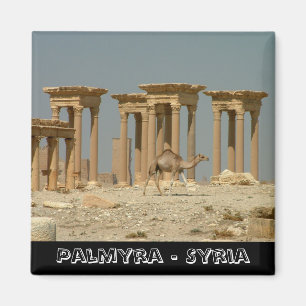 Palmyra, Syrische schatten nr. 3 (Fridge Magnet) Magneet
