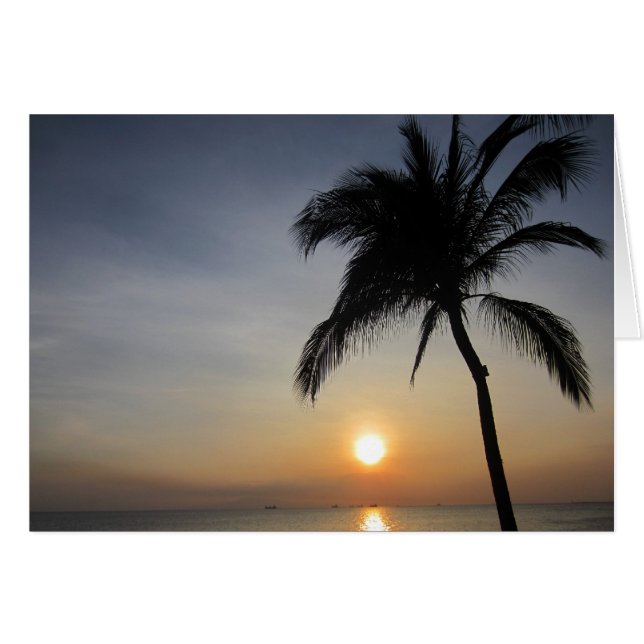 palmzonnesilhouet (Voorkant Horizontaal)