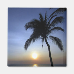 palmzonsondergang magneet
