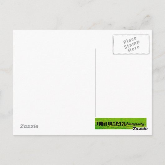 Palo Duro Canyon, TX Carte Postale (Dos)