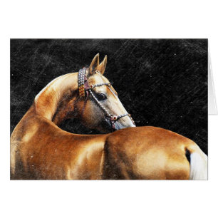 Palomino Akhal-Teke hengst