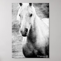 Palomino Black en White Faux Canvas