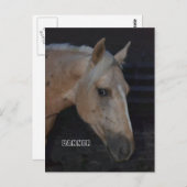 Palomino cheval carte postale de cheval nommé Bann (Devant / Derrière)