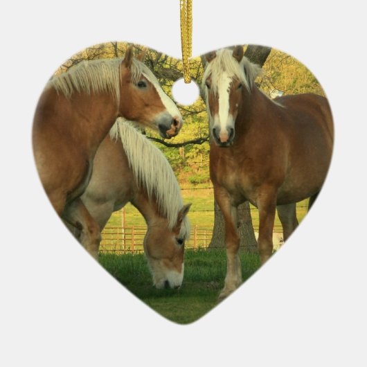 Palomino Draft Horse Ornament (Voorkant)