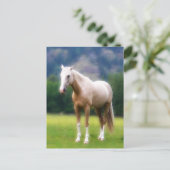 Palomino Dream Horse Briefkaart (Staand voorkant)