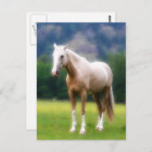 Palomino Dream Horse Briefkaart (Voorkant / Achterkant)