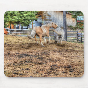 Palomino en Ranch Horse Muismat
