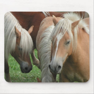 Palomino Herd Mousepad Muismat