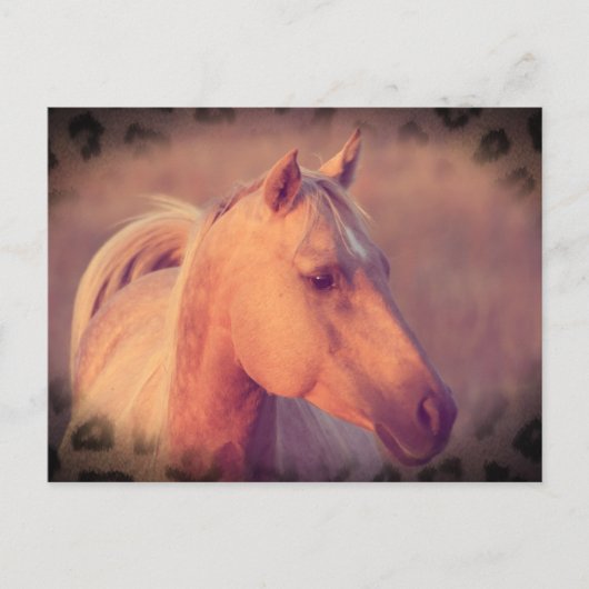 Palomino Horse Briefkaart (Voorkant)