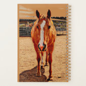 Palomino Horse Daily Planner (Achterkant)