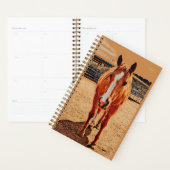 Palomino Horse Daily Planner (Display)