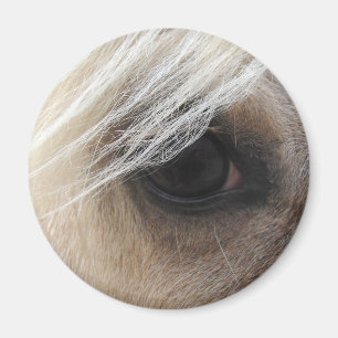 Palomino Horse Eye Magneet