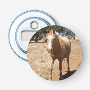 Palomino Horse Greeting Button Flesopener