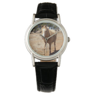 Palomino Horse Greeting,- Horloge