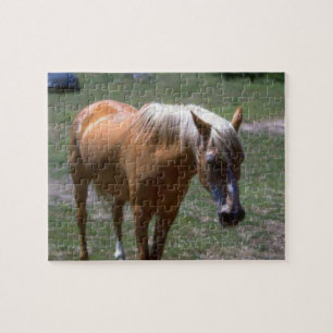 Palomino Horse Legpuzzel