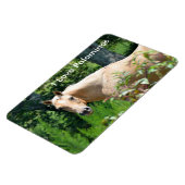 Palomino Horse Magnet flexible (Côté Gauche)
