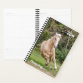 Palomino Horse Planificateur mensuel (Devant avec enveloppe)