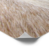 Palomino Horse Poster (Hoek)