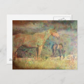 Palomino Mare en Foal Briefkaart (Voorkant / Achterkant)