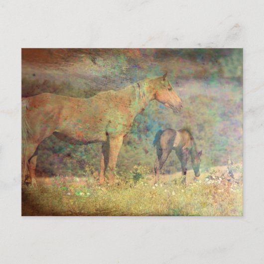 Palomino Mare en Foal Briefkaart (Voorkant)