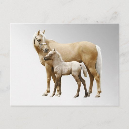 Palomino Mare en Foal Briefkaart (Voorkant)