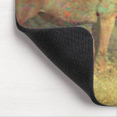 Palomino Mare en Foal Muismat (Hoek)