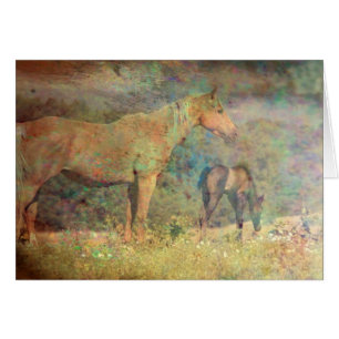 Palomino Mare et Foie