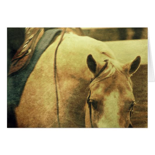 Palomino occidental (Devant horizontal)