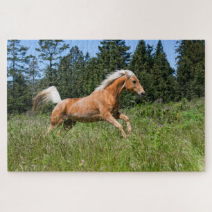 Palomino paard dat door een wei rent legpuzzel