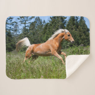 Palomino paard dat door een wei rent sherpa deken
