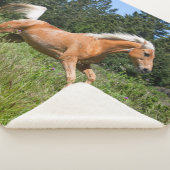 Palomino-paard dat door een weide loopt sherpa deken (3/4)