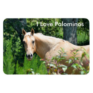 Palomino Paard Flexibele magneet